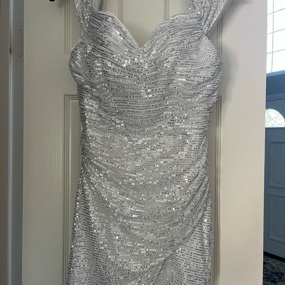 Elegant Silver Sequin Dress